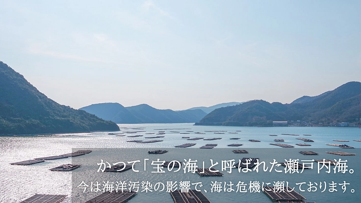 海の未来を備前から変える｜美しい瀬戸内海を子どもたちに残したい 2枚目