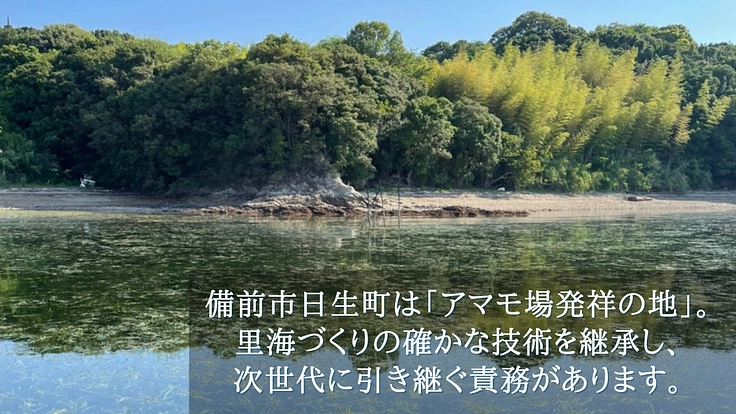 海の未来を備前から変える｜美しい瀬戸内海を子どもたちに残したい 3枚目
