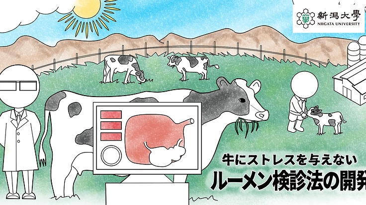 胃の検診による牛の負担を減らしたい！新ルーメン検診法実現へ！！ 2枚目