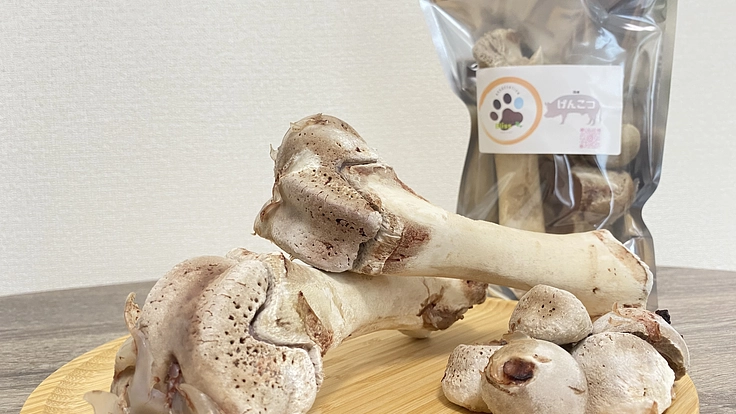 人と犬が一緒に安心して食べられる無添加のおやつを届けたい！ 3枚目