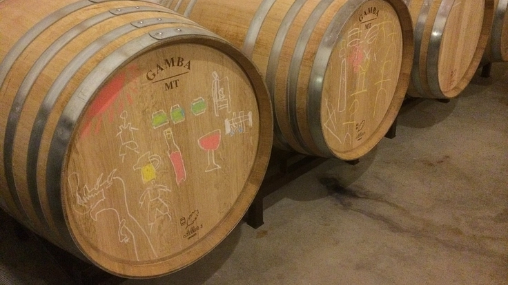 カンティーナ・リエゾー|皆さんとアグリツーリズモの実現を目指したい 4枚目