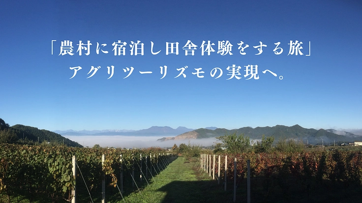 カンティーナ・リエゾー|皆さんとアグリツーリズモの実現を目指したい 2枚目
