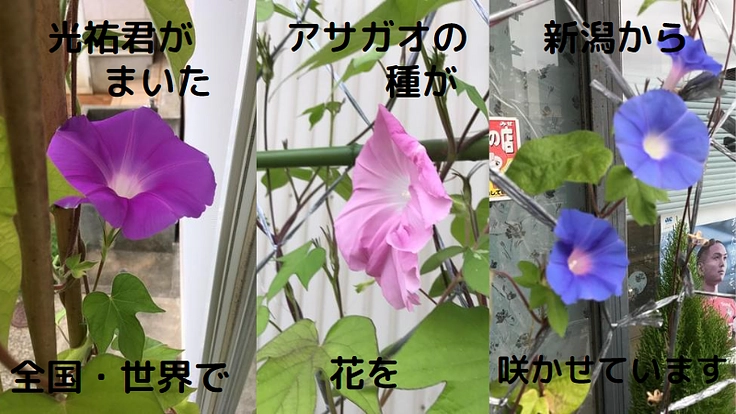 骨髄バンクのドナーを増やしたい 3枚目