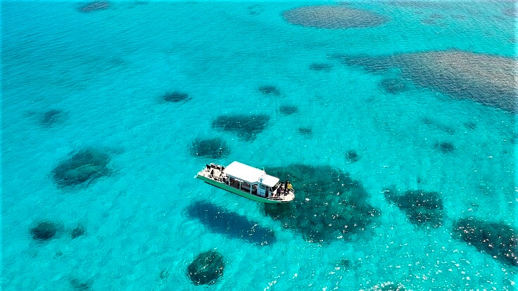 高い!気軽にできない!24歳学生サブスク制でダイブ常識を変えたい! 5枚目