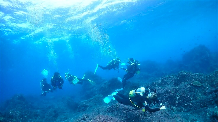 高い!気軽にできない!24歳学生サブスク制でダイブ常識を変えたい! 6枚目
