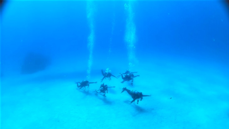 高い！気軽にできない！24歳学生サブスク制でダイブ常識を変えたい！ 7枚目