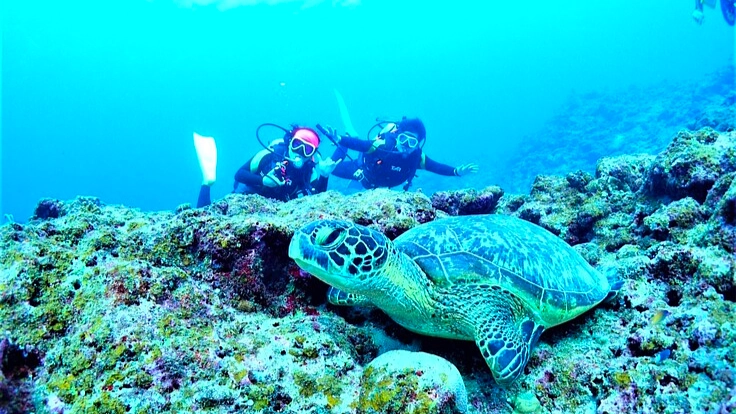 高い！気軽にできない！24歳学生サブスク制でダイブ常識を変えたい！ 9枚目