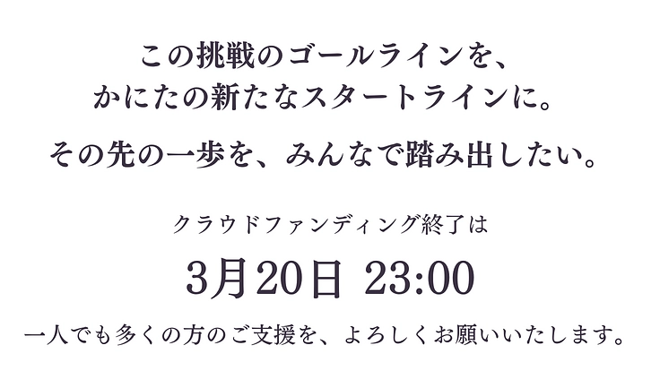 性被害・暴力被害女性の回復のために　かにた婦人の村リスタート！ 9枚目