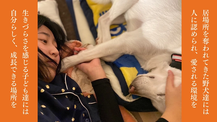 神栖から収容犬をゼロに。野犬と子どもがともに成長する居場所の開設へ 7枚目