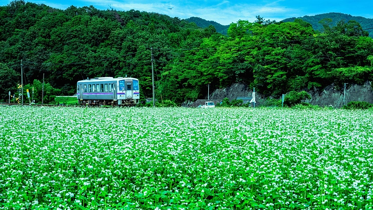 がんばれ芸備線！六角精児バンドが備後西城に登場☆応援ライブ開きます 2枚目