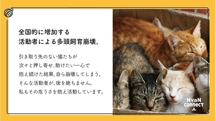 保護猫カフェ開業へ。誰にも気にかけてもらえない命を0に！ 3枚目