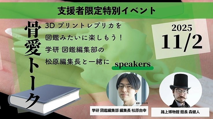 見るだけの骨から、触れる骨へ|手のひらサイズの哺乳類頭骨レプリカ 7枚目