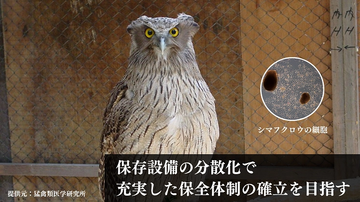 絶滅危惧種の多様性を未来に残すため、細胞保存のタイムカプセルを！ 6枚目