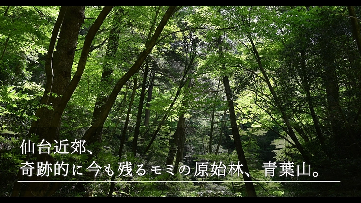 100年間受け継がれてきた植物標本を次世代へ|東北大学植物標本庫 2枚目