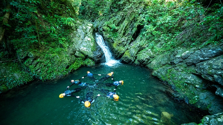 世界自然遺産やんばるの豊かな自然を後世に残していくため、ご支援を！ 10枚目