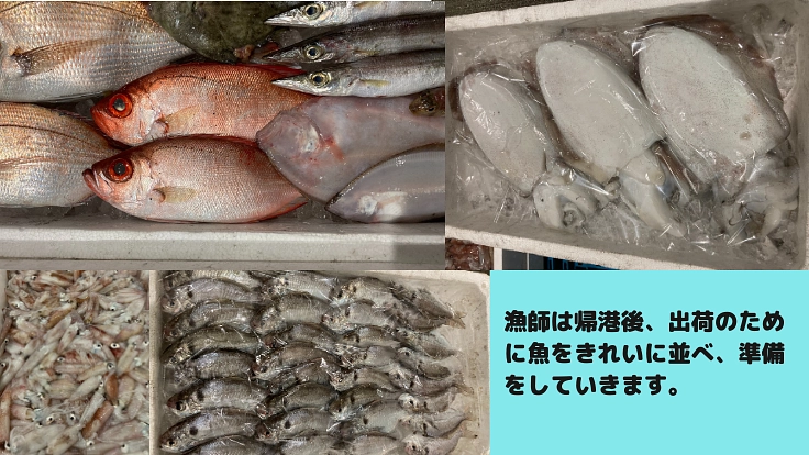 「魚から地域活性化へ」をめざして~魚の加工品企画開発・販売をしたい 2枚目