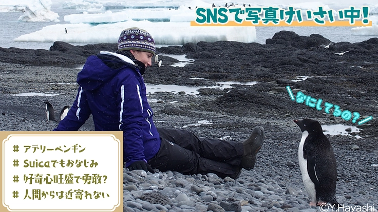 極地の謎を解明し、よりよい地球の未来を守る“隊員”になりませんか？ 4枚目