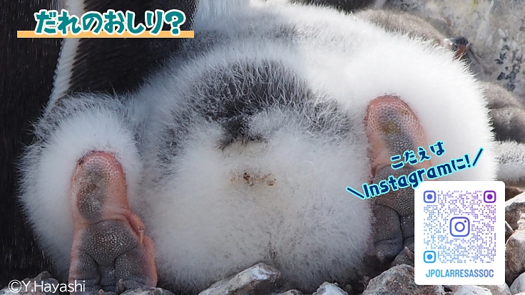 極地の謎を解明し、よりよい地球の未来を守る“隊員”になりませんか？ 5枚目