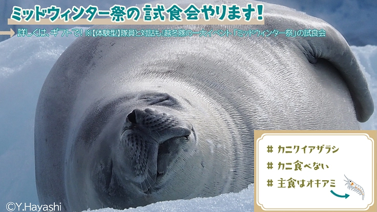 極地の謎を解明し、よりよい地球の未来を守る“隊員”になりませんか？ 7枚目