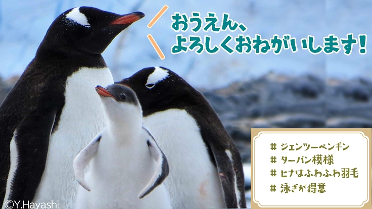 極地の謎を解明し、よりよい地球の未来を守る“隊員”になりませんか？ 8枚目