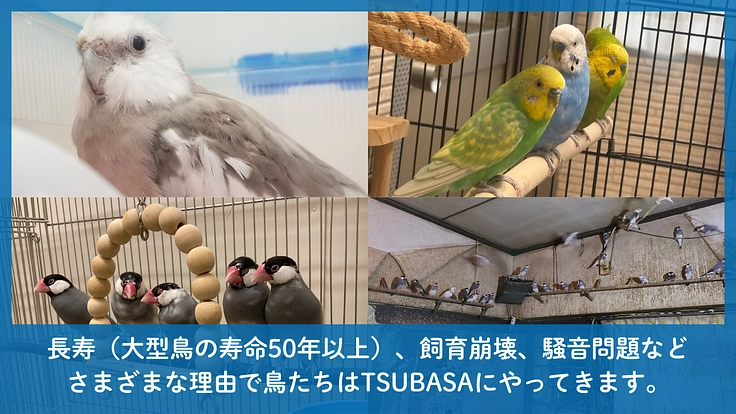 TSUBASA｜次の空へ羽ばたく居場所。新拠点への移転にご支援を！ 4枚目