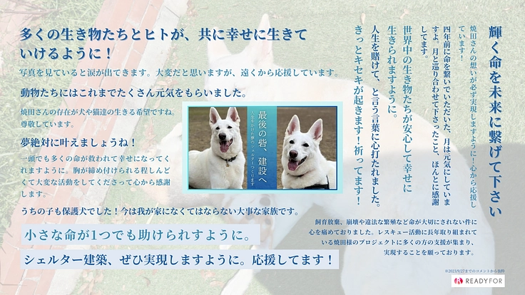 人生をかけた挑戦。行き場のない保護犬猫たちへ最後の砦をつくります！ 8枚目