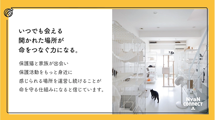 保護猫カフェ開業へ。誰にも気にかけてもらえない命を0に！ 6枚目