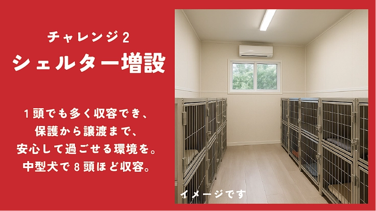 貰い手の少ない中・大型犬を救うために。活動継続と施設拡大にご支援を 7枚目