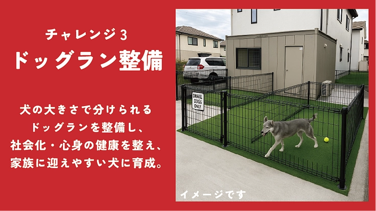 貰い手の少ない中・大型犬を救うために。活動継続と施設拡大にご支援を 8枚目