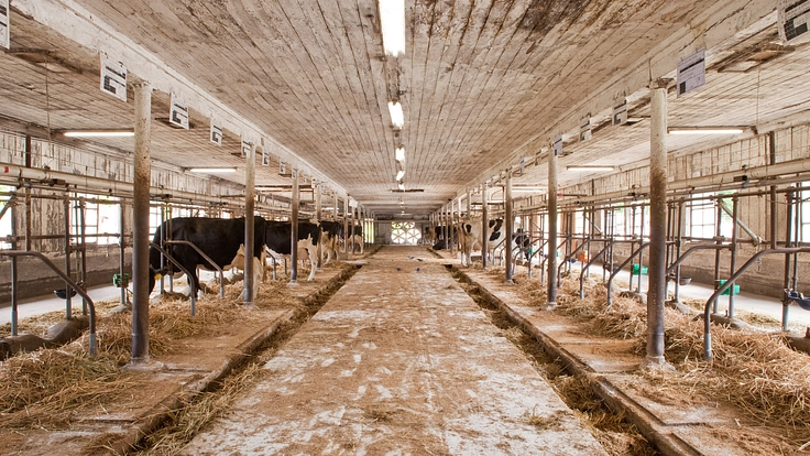 農業近代化の歴史を伝える重要文化財｜小岩井農場の建築遺産を未来へ 9枚目