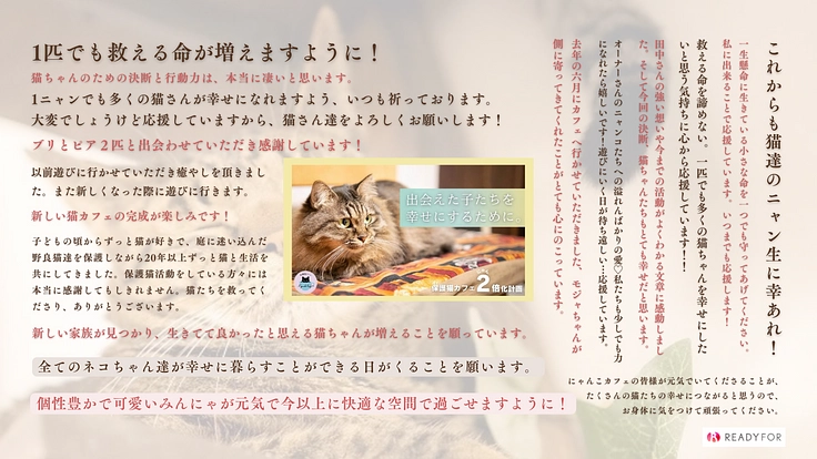 救える命を諦めない。 保護猫カフェを拡張し1匹でも多くの猫を幸せに 8枚目