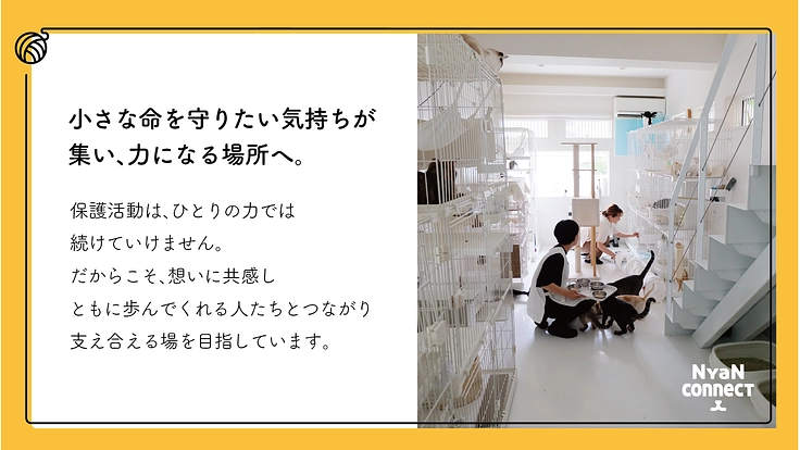保護猫カフェ開業へ。誰にも気にかけてもらえない命を0に！ 7枚目
