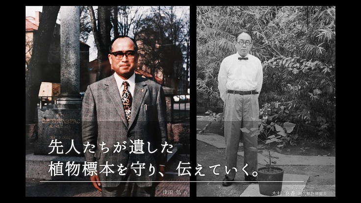 100年間受け継がれてきた植物標本を次世代へ|東北大学植物標本庫 8枚目