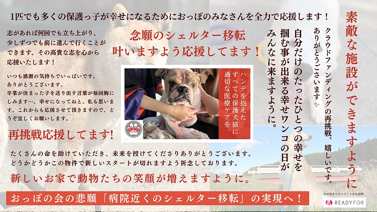 【緊急支援】おっぽの会の悲願「病院近くのシェルター移転」の実現へ！ 7枚目