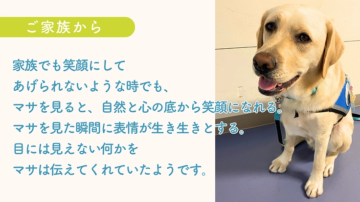 入院する子どもたちを笑顔に！ファシリティドッグ育成基金2024 8枚目