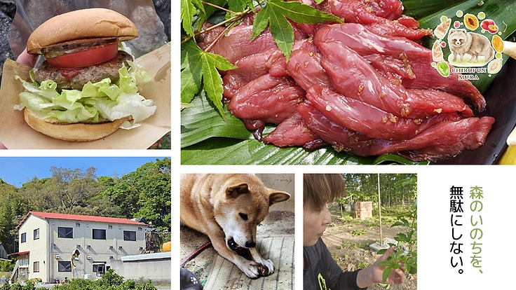 森のいのちを無駄にしない仕組みづくりへ！ジビエ活用のため施設を建設 2枚目