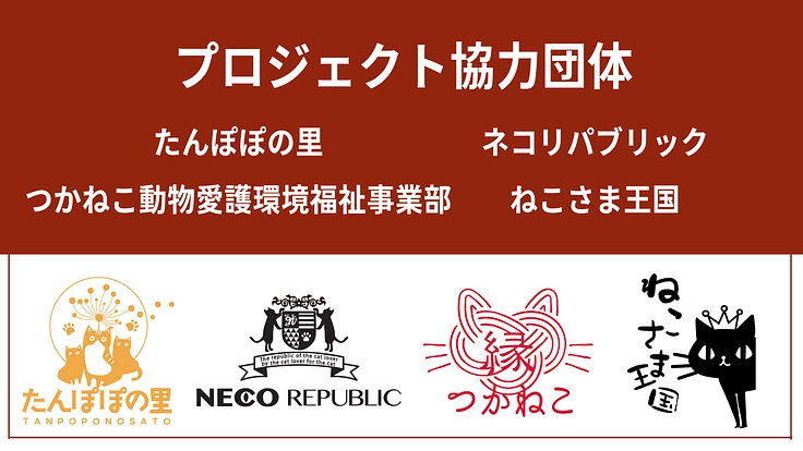 【緊急支援】能登半島地震の被災猫を救うため、移動手術車を作りたい！ 2枚目