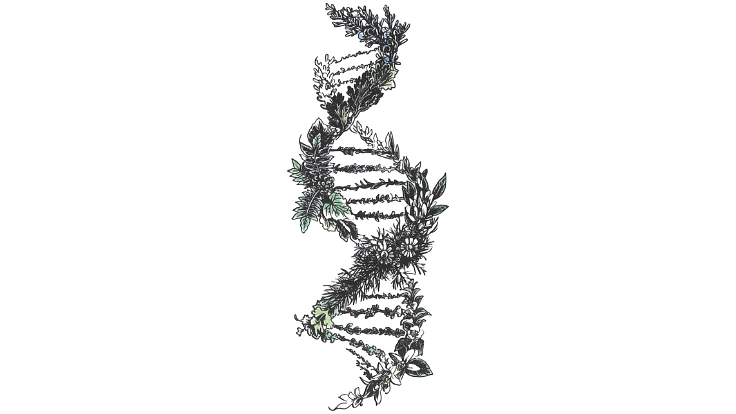 日本初！静岡大学発スタートアップが「クラフトジン」を創る 4枚目