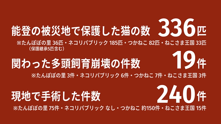 【緊急支援】能登半島地震の被災猫を救うため、移動手術車を作りたい！ 3枚目