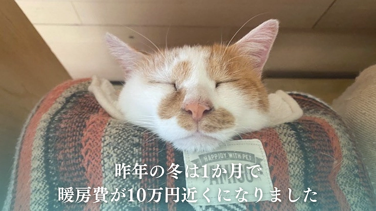 笑顔があふれるシェルターへ、犬猫の命をつなぐ保護施設を継続させたい 7枚目