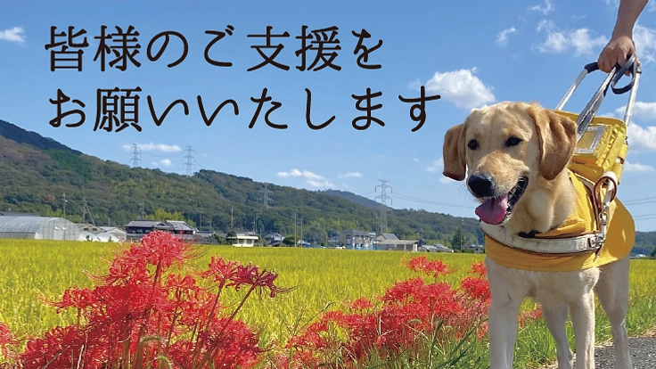 兵庫盲導犬協会｜視覚障がい者のパートナー、盲導犬の育成費にご支援を 6枚目