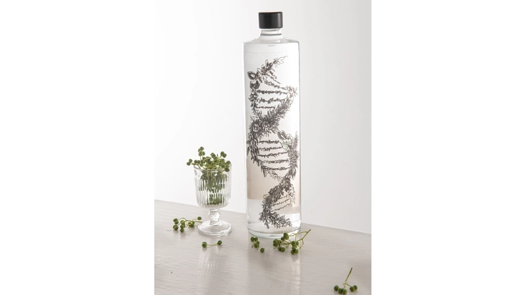 日本初！静岡大学発スタートアップが「クラフトジン」を創る 6枚目