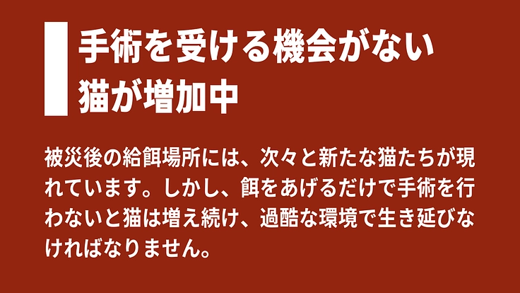 【緊急支援】能登半島地震の被災猫を救うため、移動手術車を作りたい！ 5枚目