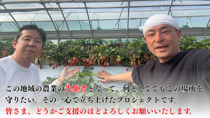 耕作放棄地の早期解消で伝統農法久能石垣イチゴ栽培を次世代へ繋ぎたい 5枚目