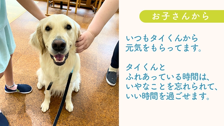 入院する子どもたちを笑顔に！ファシリティドッグ育成基金2024 7枚目