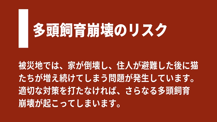 【緊急支援】能登半島地震の被災猫を救うため、移動手術車を作りたい！ 6枚目