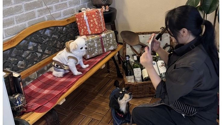 熱海でペットとご飯が食べれるカフェ&ダイナーをオープンしたい！ 2枚目