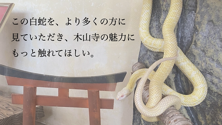 岡山県 別格本山 木山寺｜白蛇の幸運を皆様に届け、人が集うお寺に。 4枚目