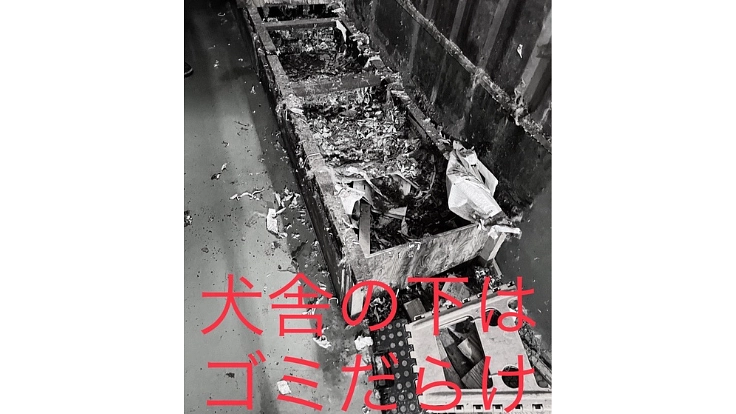 殺処分をなくし大切な命を救う為のシェルター建設にご協力ください！ 2枚目