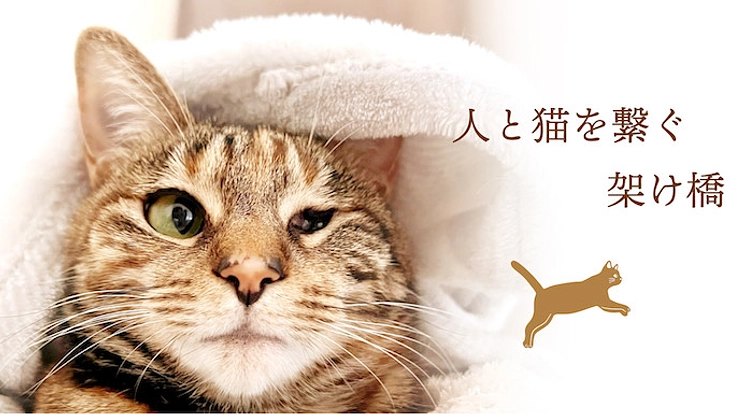 ラーメンの力で猫を助ける「保護猫ラーメンカフェ」を作ります！ 4枚目